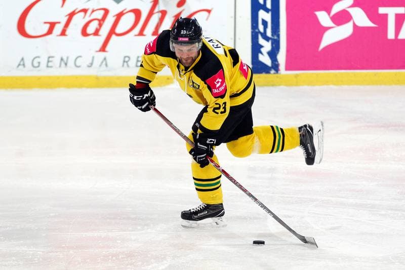 Ice Hockey. Tauron Hokej Liga. Tauron KH GKS Katowice - MH Automatyka Gdansk. 10.01.2017