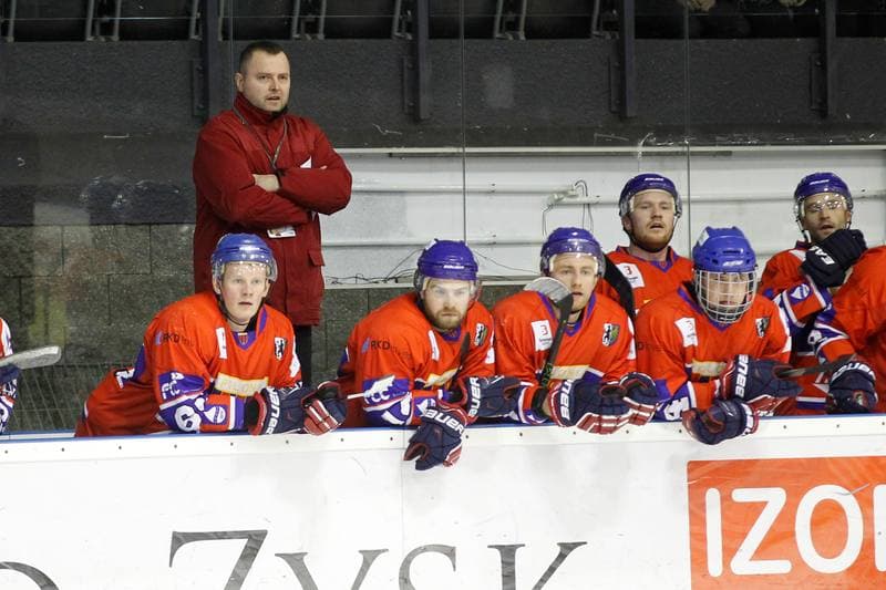 Ice Hockey. Polska Hokej Liga. GKS Tychy - Tempish Polonia Bytom. 22.01.2017