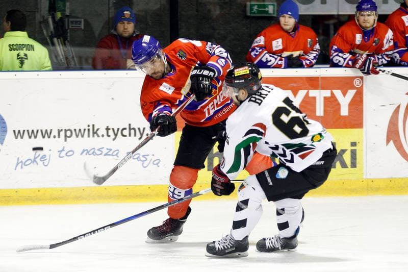 Ice Hockey. Polska Hokej Liga. GKS Tychy - Tempish Polonia Bytom. 22.01.2017