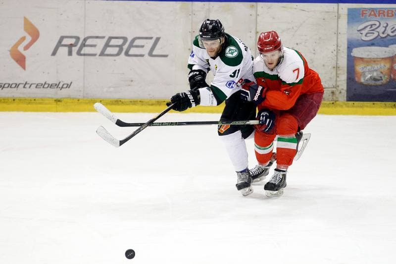 Ice Hockey. I Liga. Naprzod Janow - Zaglebie Sosnowiec. 22.01.2017