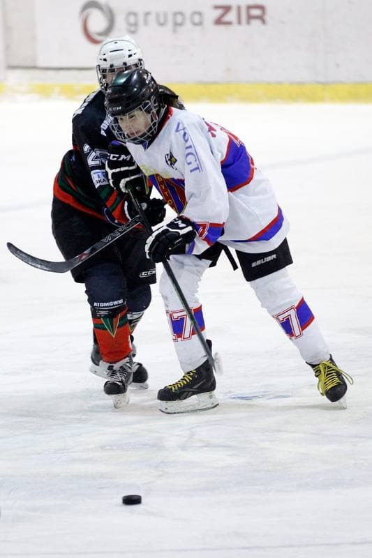 Ice Hockey. PLHK. Polonia Bytom - Atomowki Tychy. 27.01.2017