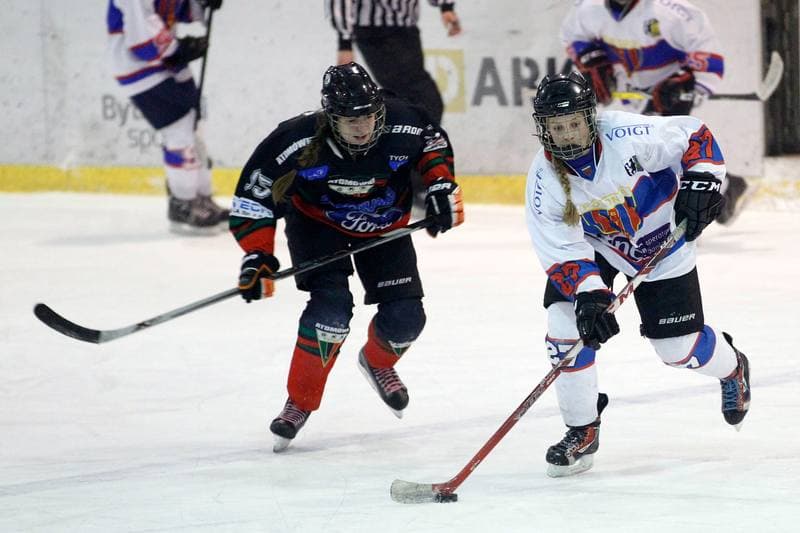 Ice Hockey. PLHK. Polonia Bytom - Atomowki Tychy. 27.01.2017