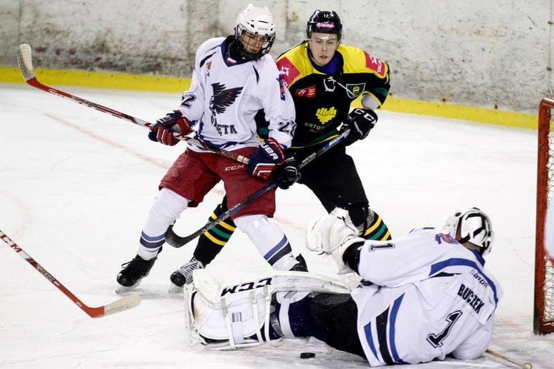 Ice Hockey. Polska Hokej Liga. SMS PZHL Sosnowiec - Tauron KH GKS Katowice. 31.01.2017