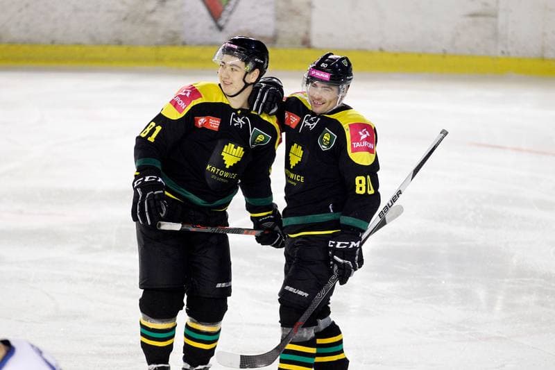 Ice Hockey. Polska Hokej Liga. SMS PZHL Sosnowiec - Tauron KH GKS Katowice. 31.01.2017