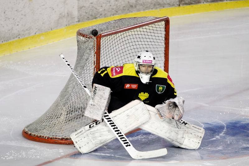 Ice Hockey. Polska Hokej Liga. SMS PZHL Sosnowiec - Tauron KH GKS Katowice. 31.01.2017