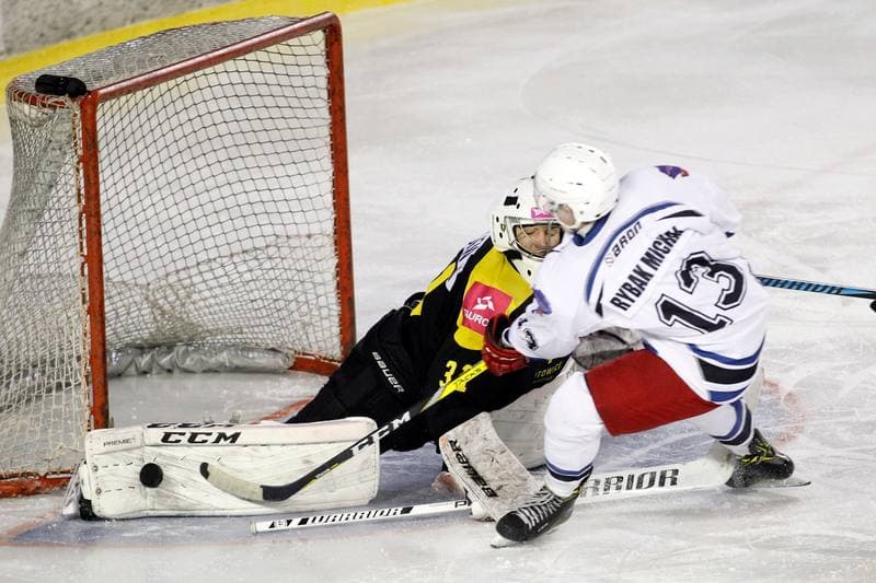 Ice Hockey. Polska Hokej Liga. SMS PZHL Sosnowiec - Tauron KH GKS Katowice. 31.01.2017