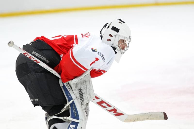 Ice Hockey. Euro Ice Hockey Challenge. Poland - Ukraine. 10.02.2017