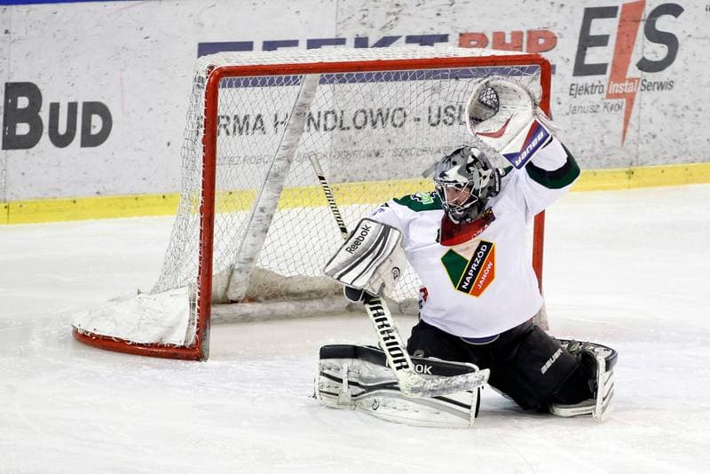 Ice Hockey. I Liga. Naprzod Janow - UKH Debica. 12.02.2017