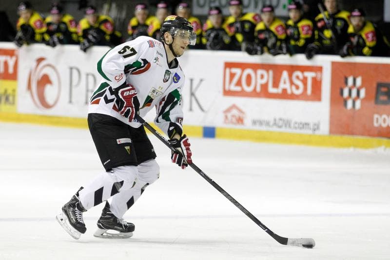 Ice Hockey. Polska Hokej Liga. GKS Tychy - Tauron GKS Katowice. 21.02.2017