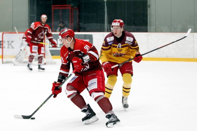 Ice Hockey. WSM Liga. HC Frydek-Mistek - Dukla Jihlava. 02.03.2017