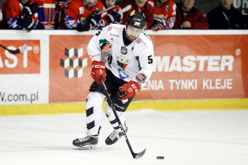 Ice Hockey. Polska Hokej Liga. GKS Tychy - Tempish Polonia Bytom. 07.03.2017