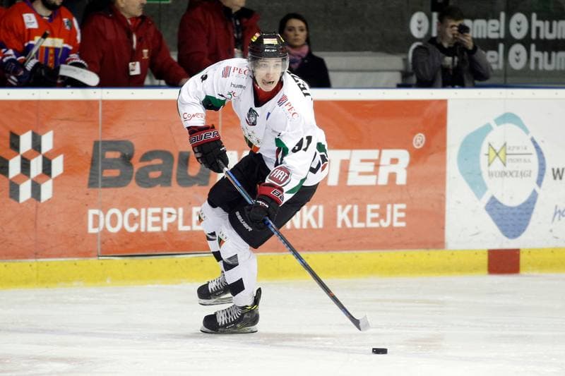 Ice Hockey. Polska Hokej Liga. GKS Tychy - Tempish Polonia Bytom. 07.03.2017