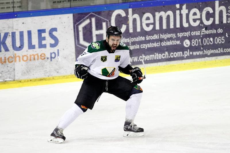 Ice Hockey. I Liga. Naprzod Janow - Zaglebie Sosnowiec. 12.03.2017