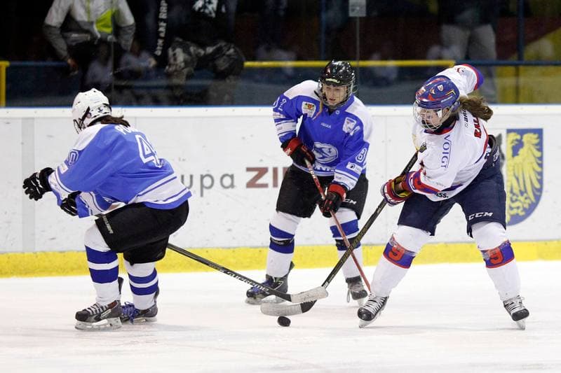 Ice Hockey. PLHK. Polonia Bytom - Stoczniowiec Gdansk. 18.03.2017