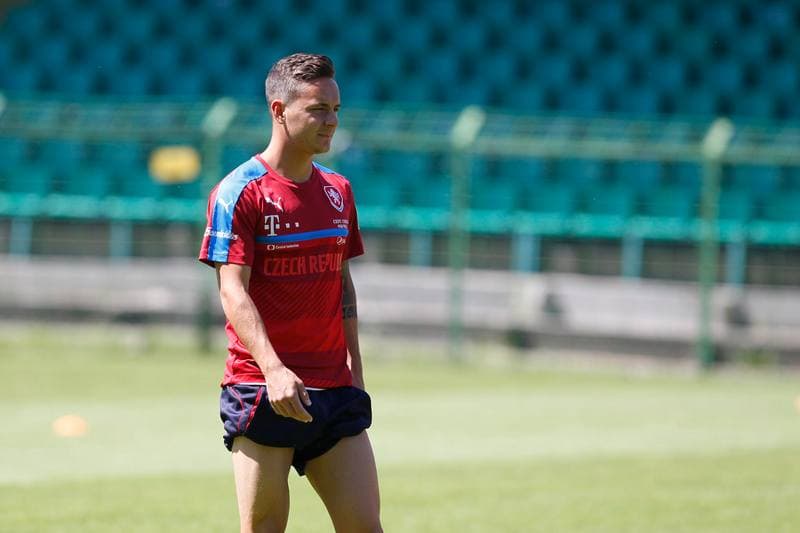 Football. Czech Republic. Training. 22.06.2017