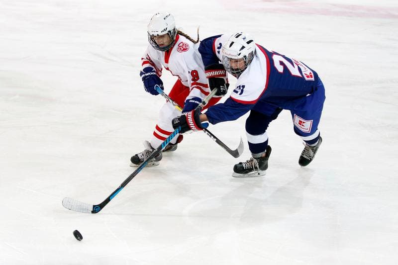 Ice Hockey. Women's National Team. Poland - Slovakia. 12.11.2017