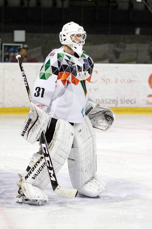 Ice Hockey. Polska Hokej Liga. GKS Tychy - Tauron KH GKS Katowice. 19.11.2017