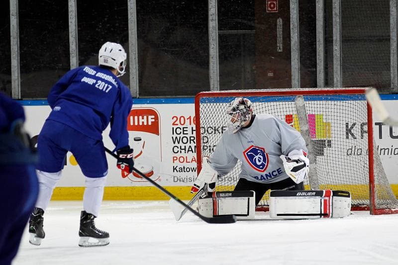 Ice Hockey. France. Training. 15.12.2015