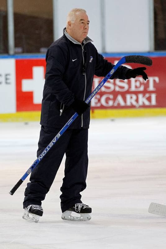 Ice Hockey. France. Training. 15.12.2015