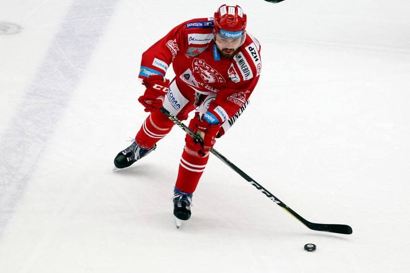 Ice Hockey. Tipsport Extraliga. Ocelari Trinec - Bili Tygri Liberec. 22.12.2017
