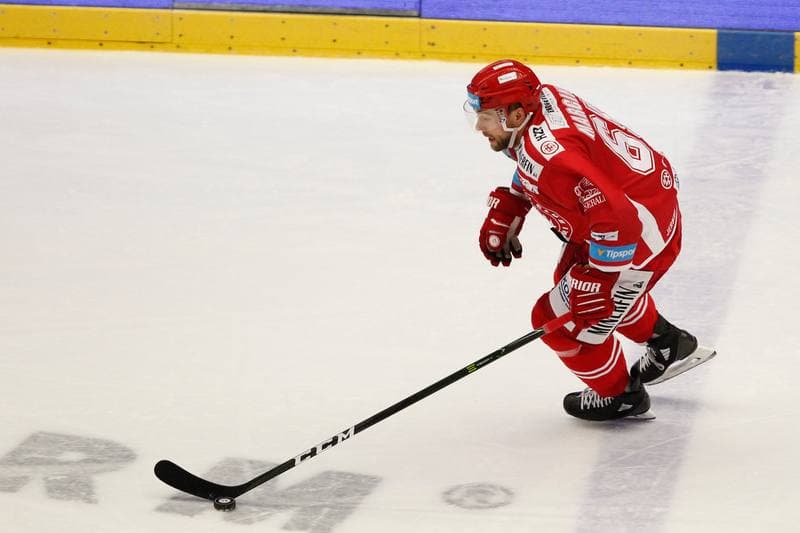 Ice Hockey. Tipsport Extraliga. Ocelari Trinec - Aukro Berani Zlin. 30.12.2017