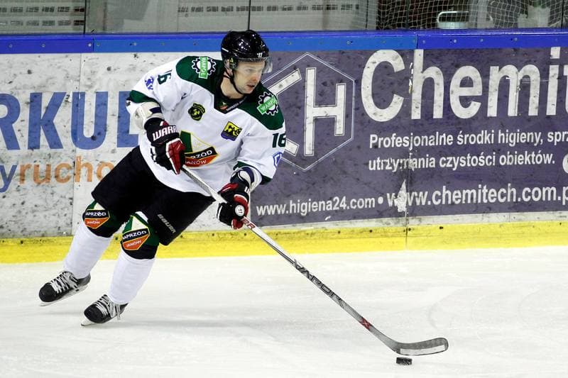 Ice Hockey. Polska Hokej Liga. Anteo Naprzod Janow - Polonia Bytom. 30.01.2018