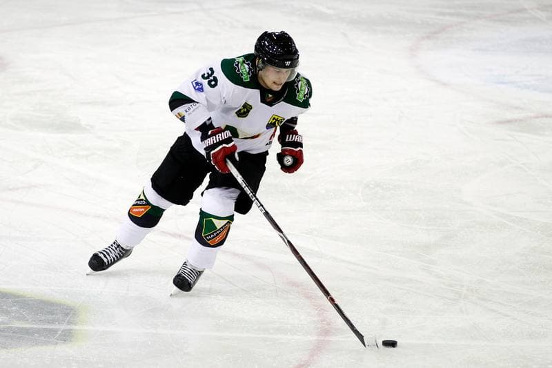 Ice Hockey. PHL. Anteo Naprzod Janow - TatrySki Podhale Nowy Targ. 04.02.2018
