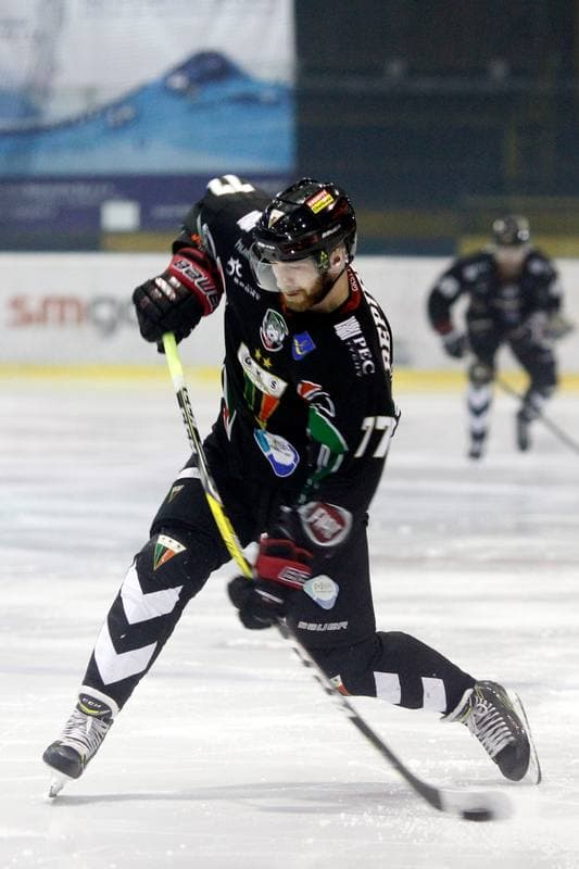 Ice Hockey. Polska Hokej Liga. Tempish Polonia Bytom - GKS Tychy. 15.02.2017