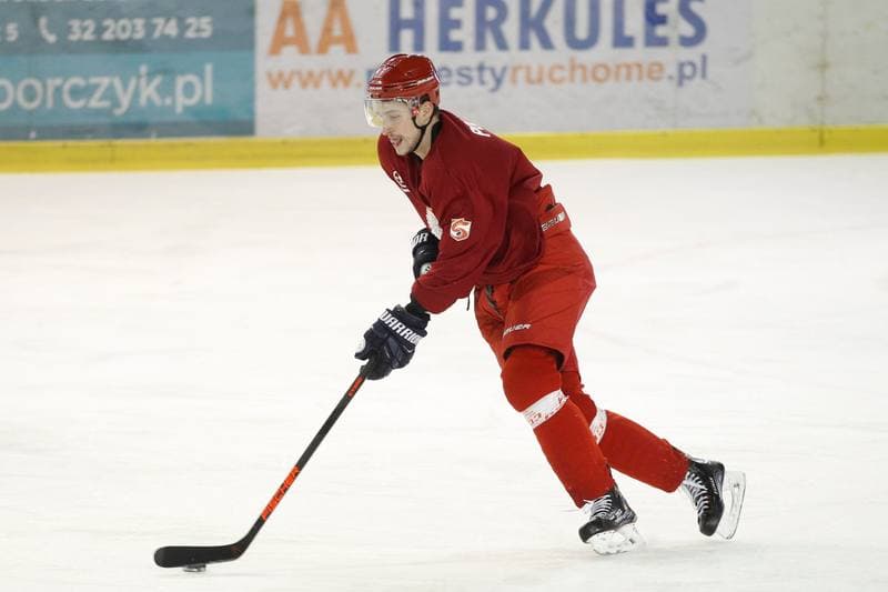 Ice Hockey. Poland national team. Training. 13.02.2018