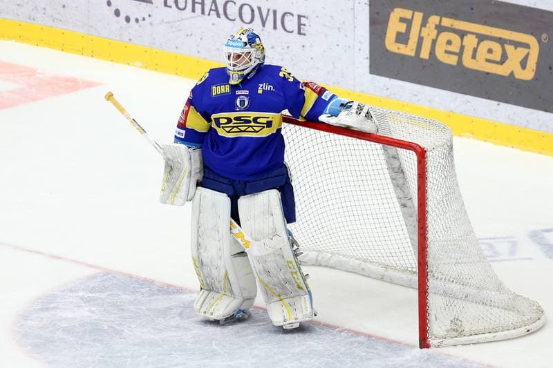 Ice Hockey. Tipsport Extraliga. Ocelari Trinec - PSG Zlin. 19.02.2017