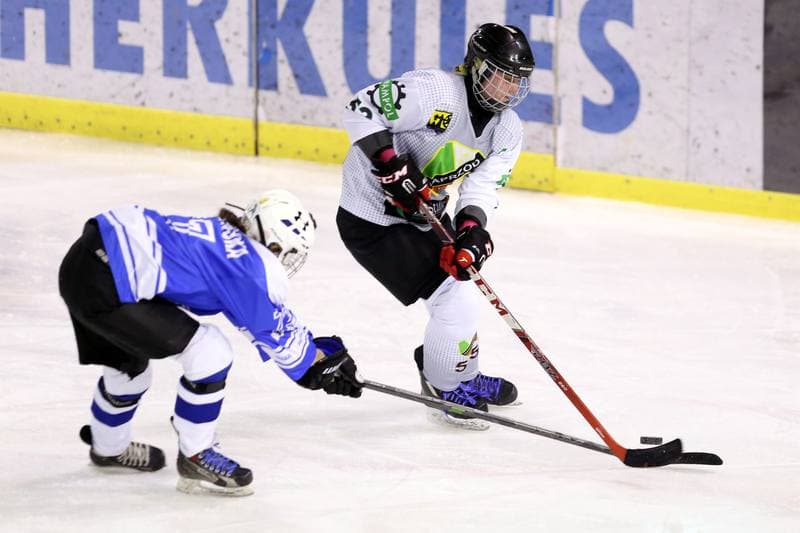 Ice Hockey. PLHK. Naprzod Janow - Stoczniowiec Gdansk. 25.02.2017