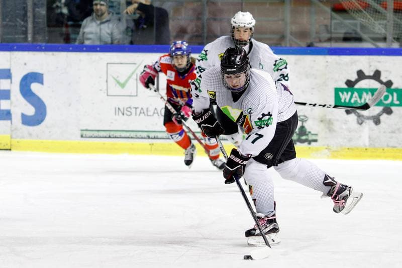 Ice Hockey. PLHK. Naprzod Janow - Polonia Bytom. 24.02.2018
