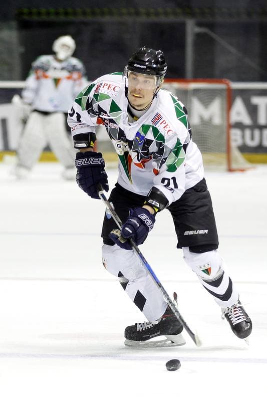 Ice Hockey. Polska Hokej Liga. GKS Tychy - Tauron KH GKS Katowice. 29.03.2018