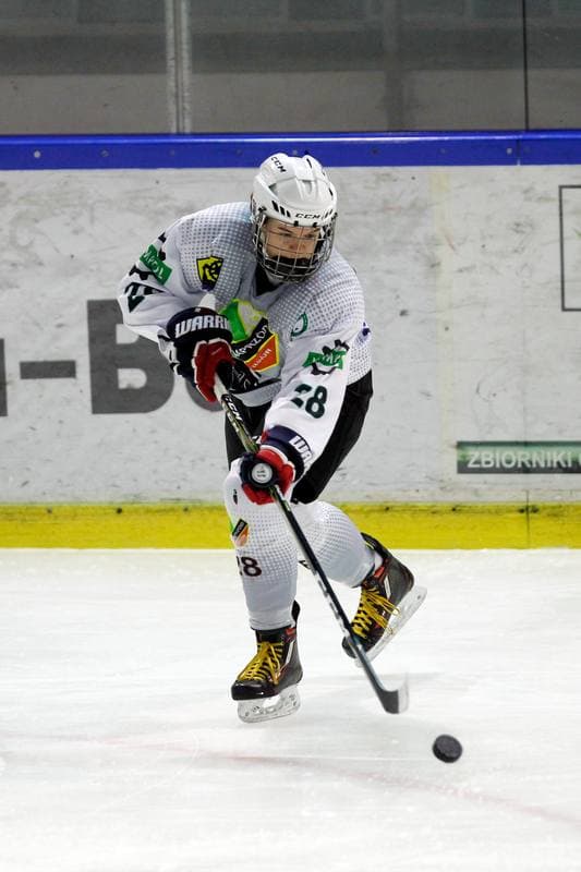 Ice Hockey. PLHK. Naprzod Janow - Polonia Bytom. 18.01.2018
