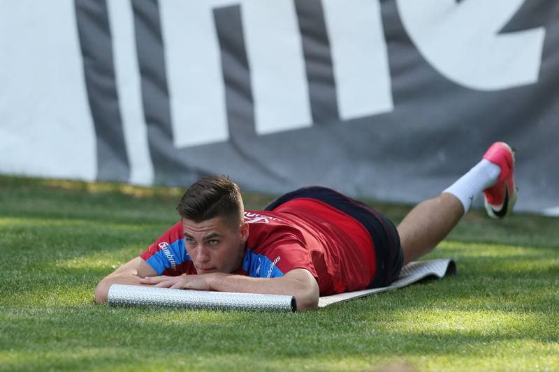 Football. Czech Republic. Training. 15.06.2017