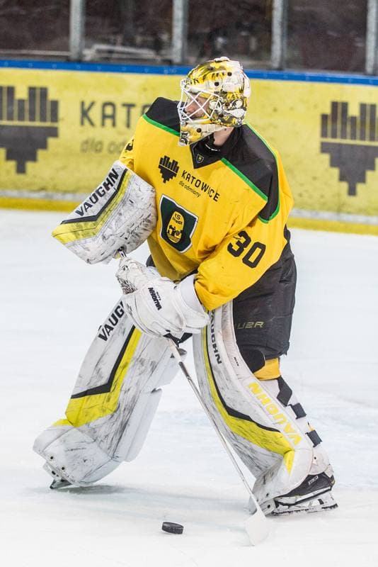 Ice Hockey. PHL. GKS Katowice - JKH GKS Jastrzebie. 02.02.2020