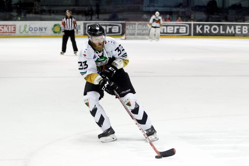 Ice Hockey. PHL. GKS Tychy - Comarch Cracovia. 02.04.2019