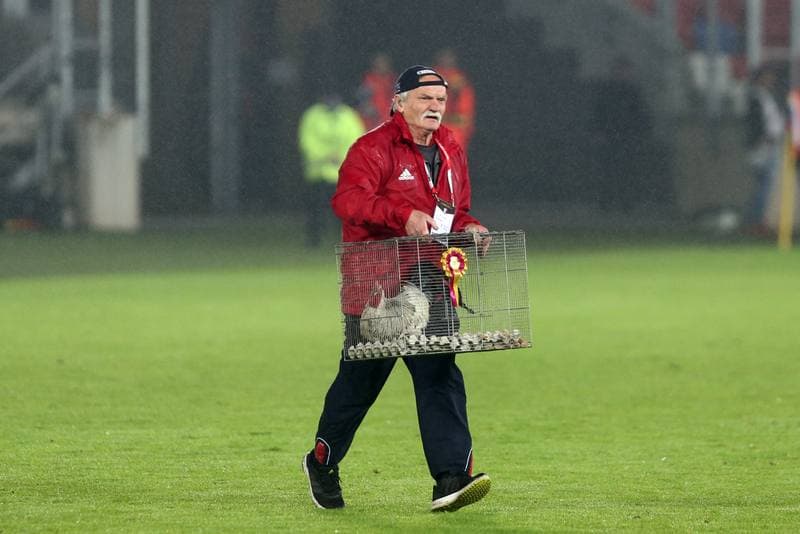Football. Lotto Ekstraklasa. Gornik Zabrze - Zaglebie Sosnowiec. 29.04.2019