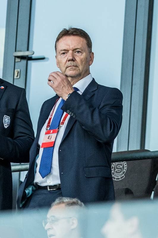 Football. Euro 2020 Qualifiers. Czech Republic - Bulgaria. 07.06.2019