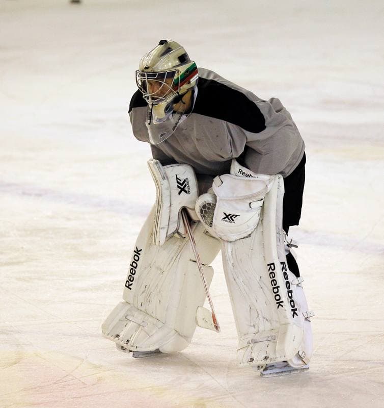 Ice Hockey. Poland national team. Training. 04.11.2015