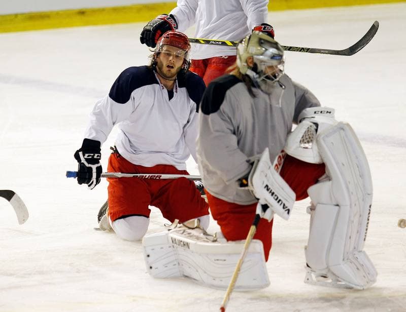 Ice Hockey. Poland national team. Training. 04.11.2015