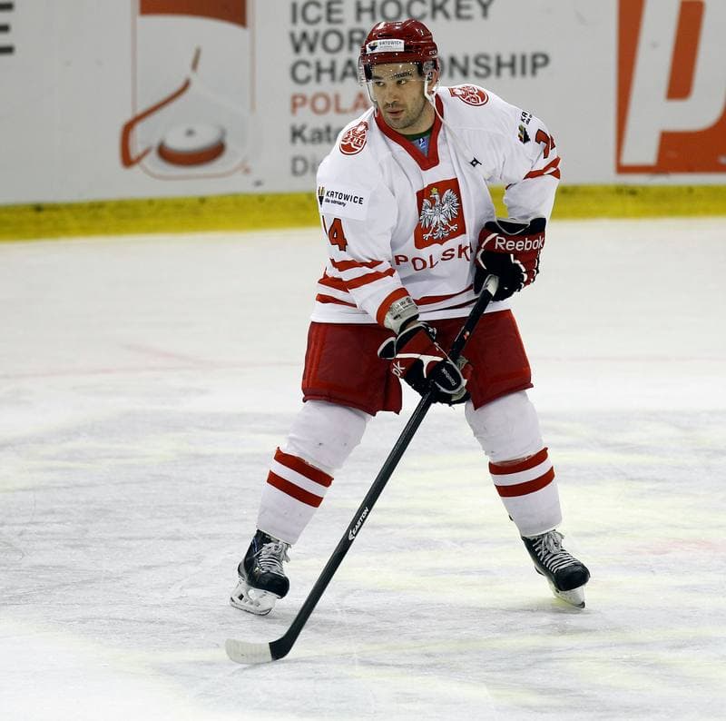 Ice Hockey. Euro Ice Hockey Challenge. Poland - Slovenia. 05.11.2015