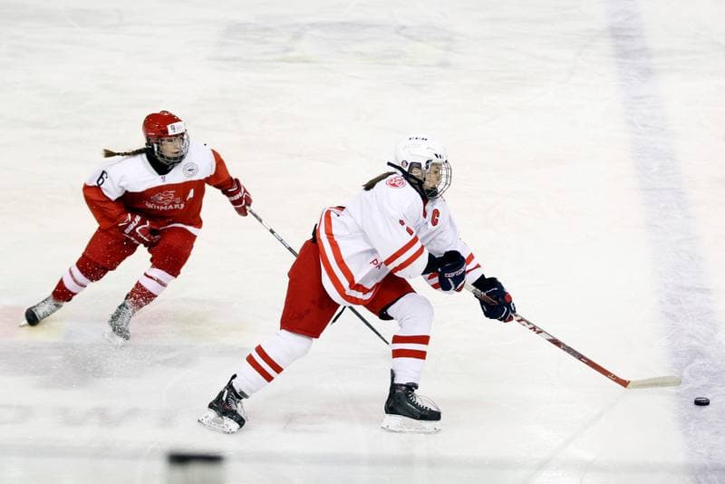 Ice Hockey. U18 Women's World Championship. Poland - Denmark. 08.01.2017