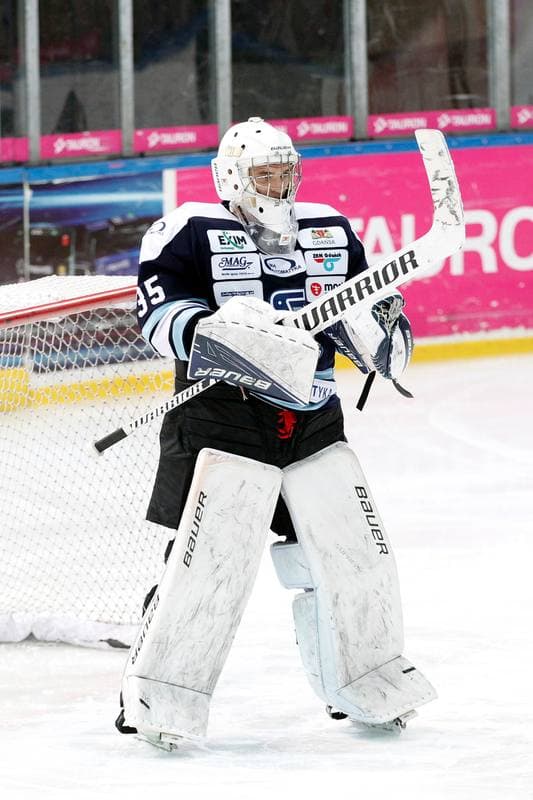 Ice Hockey. Tauron Hokej Liga. Tauron KH GKS Katowice - MH Automatyka Gdansk. 10.01.2017