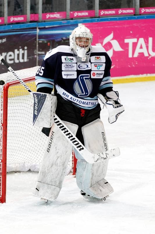 Ice Hockey. Tauron Hokej Liga. Tauron KH GKS Katowice - MH Automatyka Gdansk. 10.01.2017