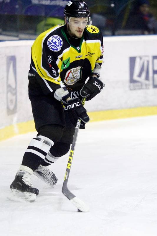 Ice Hockey. Polska Hokej Liga. Tempish Polonia Bytom - JKH GKS Jastrzebie. 20.01.2017