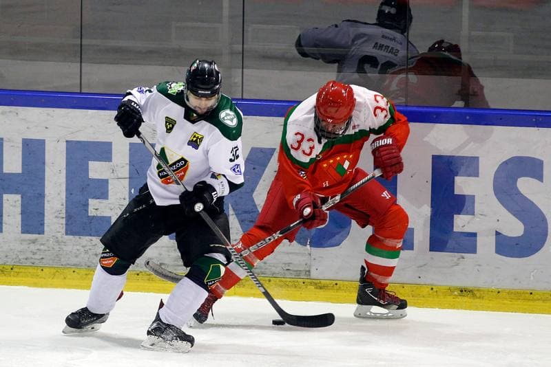 Ice Hockey. I Liga. Naprzod Janow - Zaglebie Sosnowiec. 22.01.2017