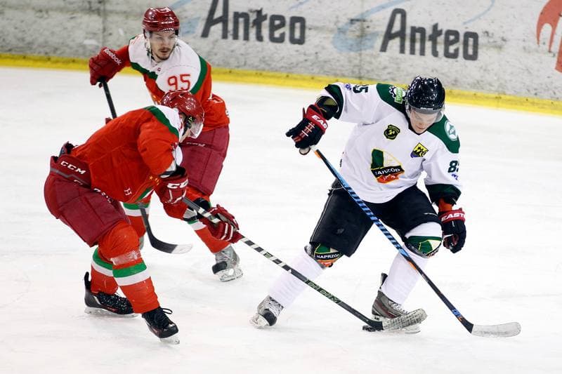 Ice Hockey. I Liga. Naprzod Janow - Zaglebie Sosnowiec. 22.01.2017