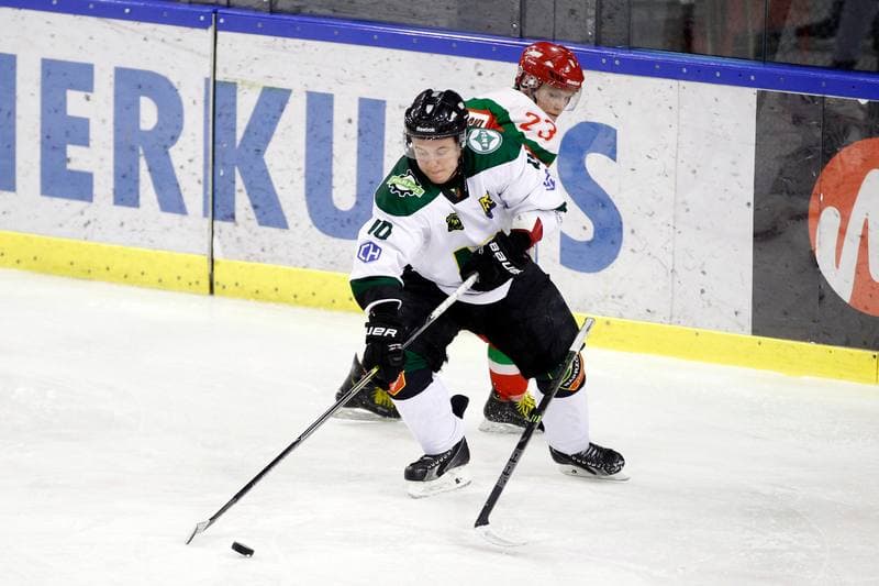 Ice Hockey. I Liga. Naprzod Janow - Zaglebie Sosnowiec. 22.01.2017