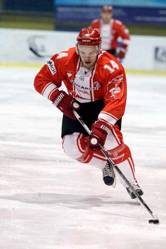 Ice Hockey. PHL. Tempish Polonia Bytom - Comarch Cracovia. 27.01.2017